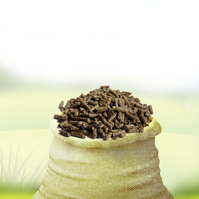 Şeker Pancarı Küspesi